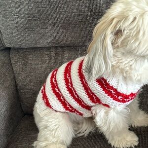 Hand knit small dog sweater
